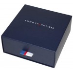 Tommy Hilfiger ocelový náhrdelník 2700568